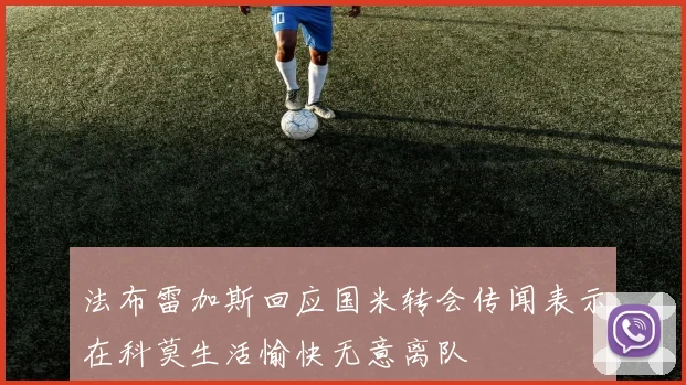 法布雷加斯回应国米转会传闻表示在科莫生活愉快无意离队