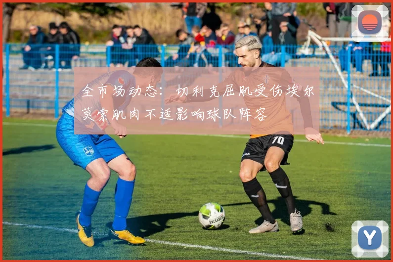 全市场动态：切利克屈肌受伤埃尔莫索肌肉不适影响球队阵容