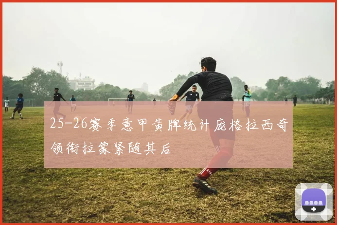 25-26赛季意甲黄牌统计庞格拉西奇领衔拉蒙紧随其后