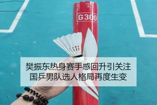 樊振东热身赛手感回升引关注 国乒男队选人格局再度生变 | leyu